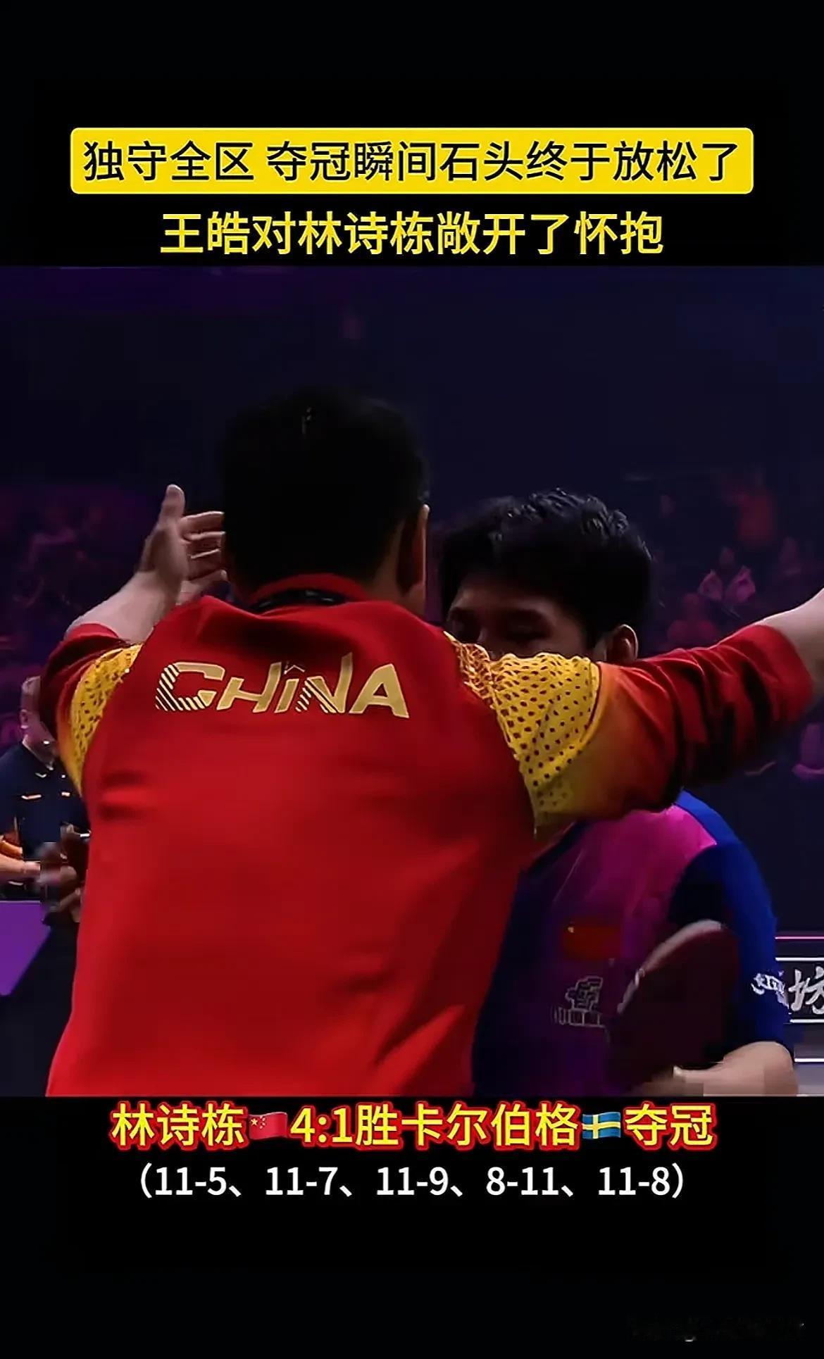 德国队绝杀韩国队，王皓惊艳四座的简单介绍