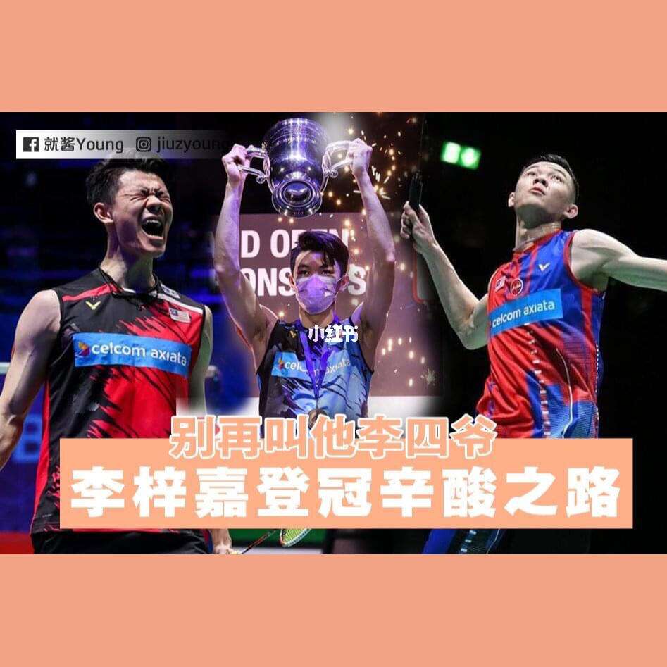 法国队翻盘丹麦队，李梓嘉关键制胜